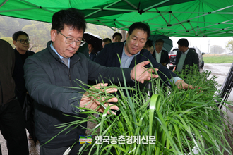 농촌진흥청, '조사료' 생산확대...풀사료 재배현장 긴급점검