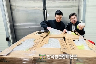 대아청과, ‘2026년산 저장무 전수조사’ 결과발표...전년대비 16 증가