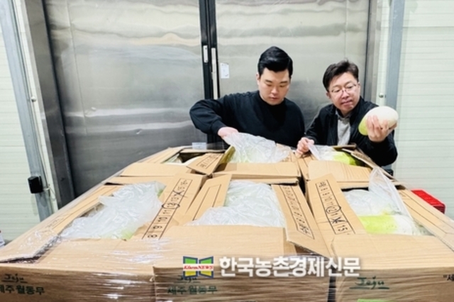 대아청과, ‘2026년산 저장무 전수조사’ 결과발표...전년대비 16 증가