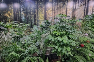 산림청, '임업직불금' 신청・접수 서두르세요