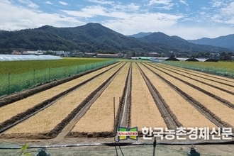 경농, ‘엔페라’ 약해 우려 줄인 이앙동시 제초제로 주목