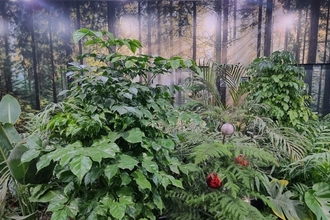 산림청, 임산물 생산기반 공모...6월 19일까지