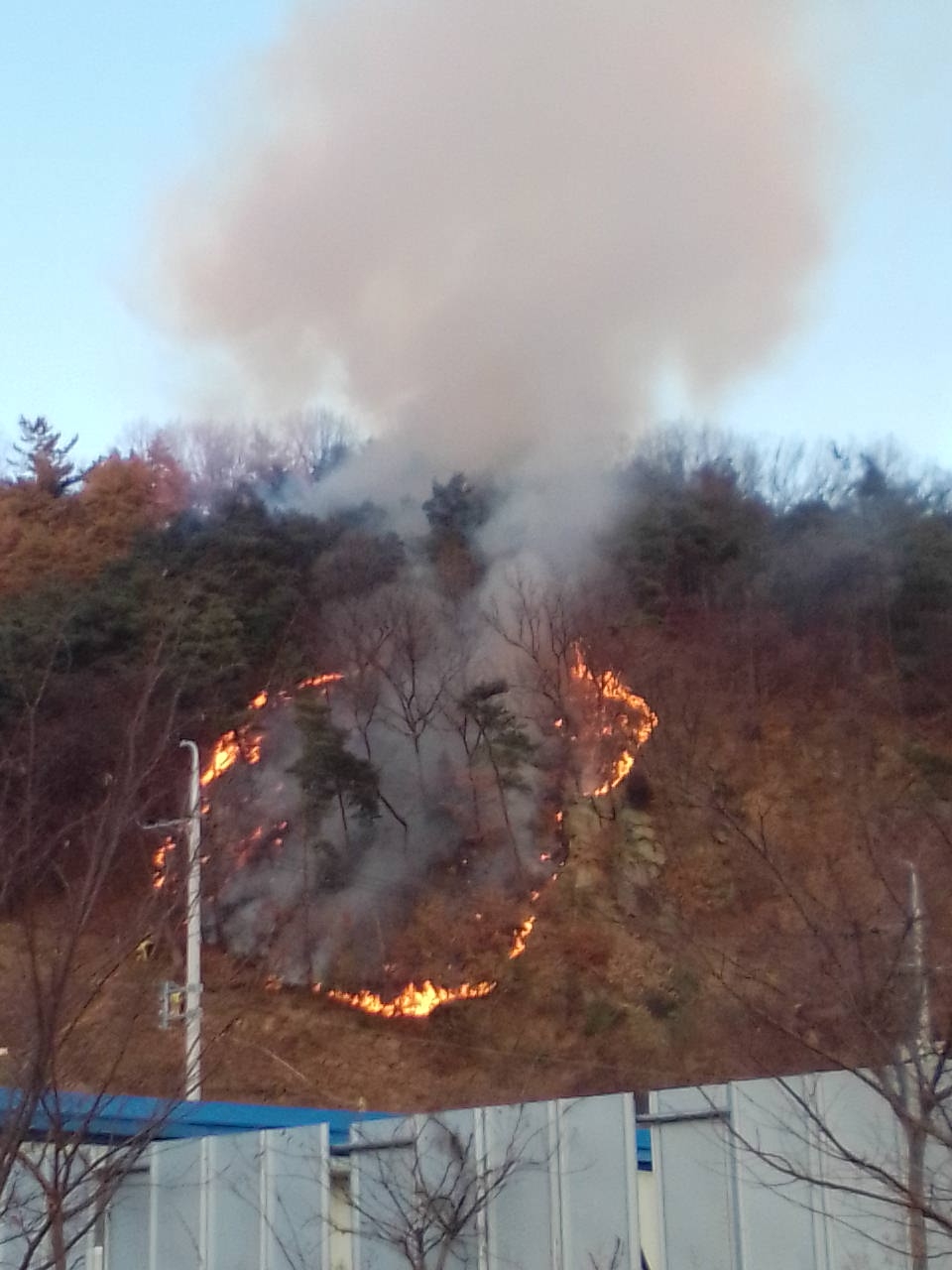엄동설한 '잇따른 산불'... 새해 벽두부터 큰 몸살