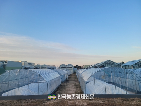 온실용 ‘국산 폴리올레핀 필름’ 경제성 효과 커
