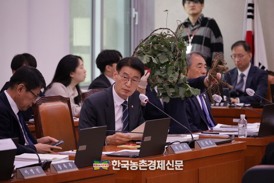 문대림 의원 "칡덩굴 확산, 생태계교란식물 지정 기준 재정립 필요” 지적