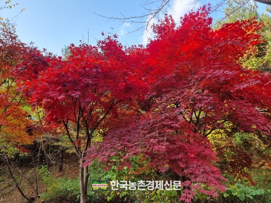 소비자시민모임, "쌀 소비자구입 가격 1년 새 30% 인상, '저가·대용량' 쌀 인상률 더 높았다"